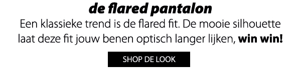 flared pantalon