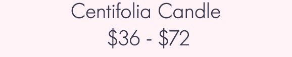 Centifolia Candle $36 - $72
