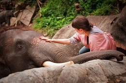 The incredible Green Hills Elephant Camp in Burma gives you an up-close and personal experience with rescued elephants. 