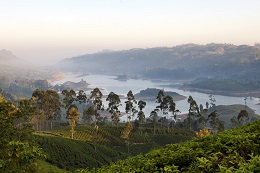 Hill Country, Sri Lanka